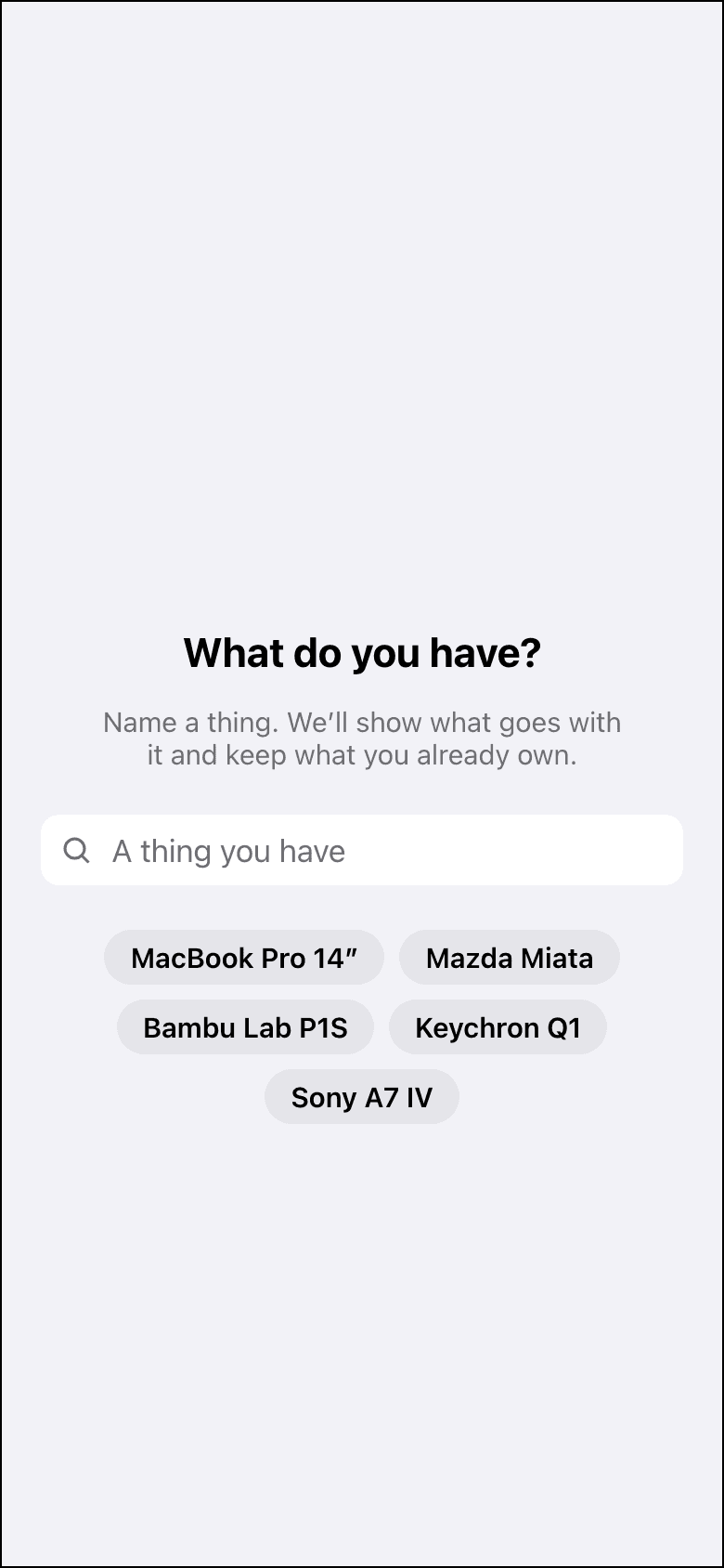 First launch: a field asking What do you have, with a few example chips
