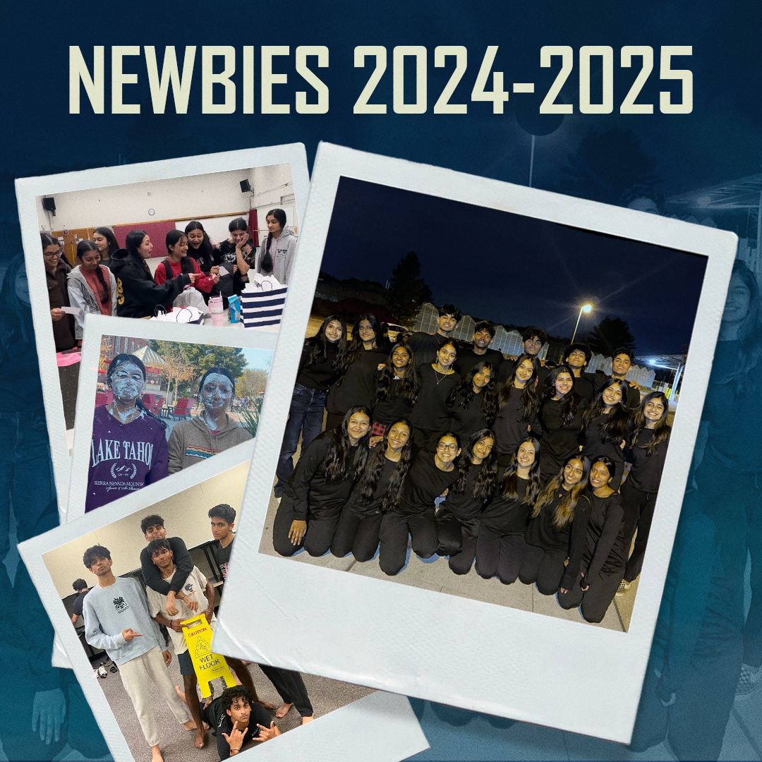 SAPA Instagram Post 5